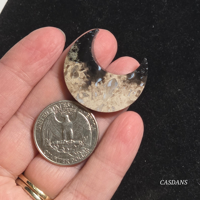 Petrified Palmroot Moon