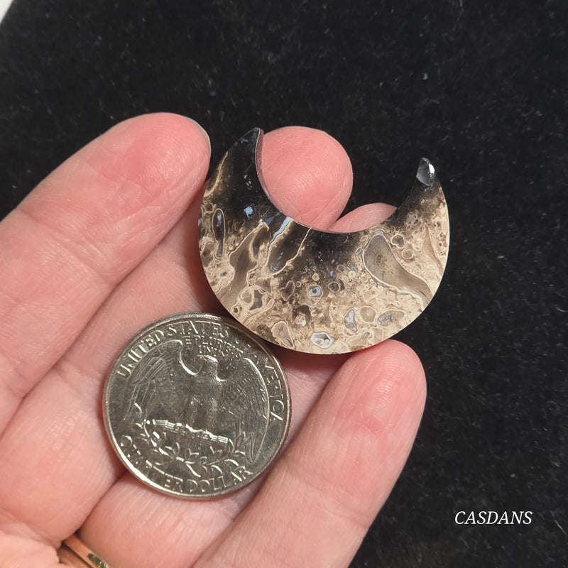 Petrified Palmroot Moon