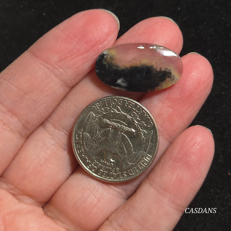 Moss Agate Cabochon