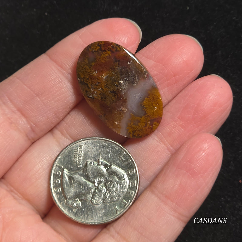 Moss Agate Cabochon