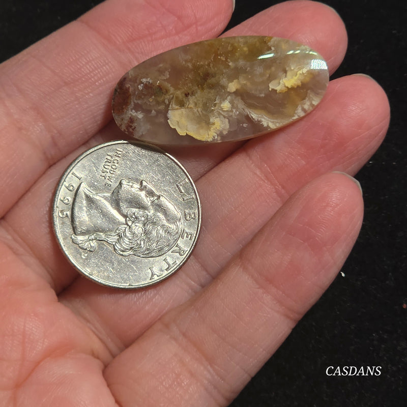 Moss Agate Cabochon