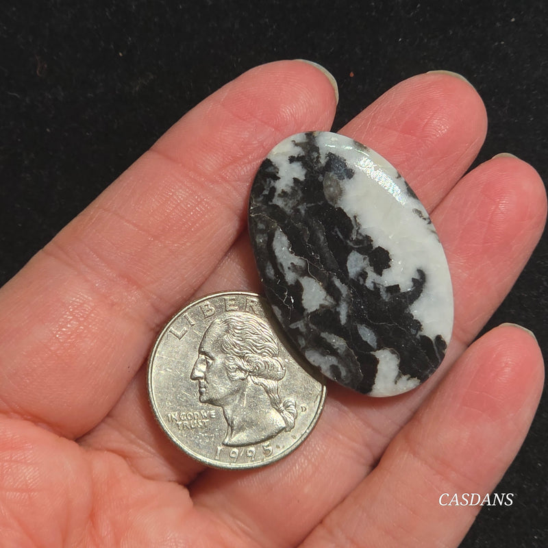 Zebra Jasper Cabochon