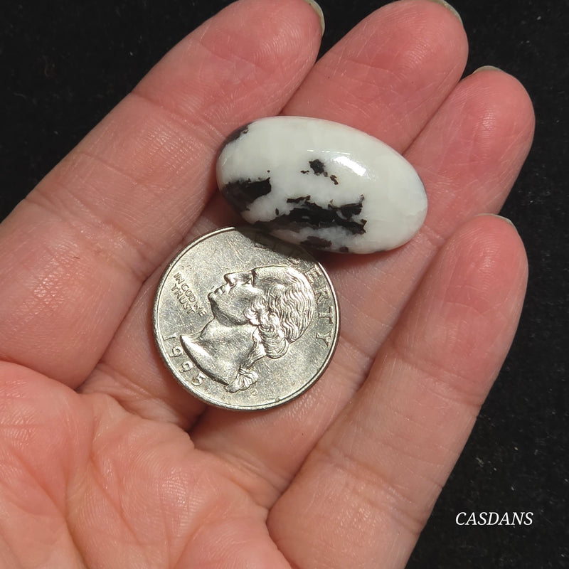 Zebra Jasper Cabochon