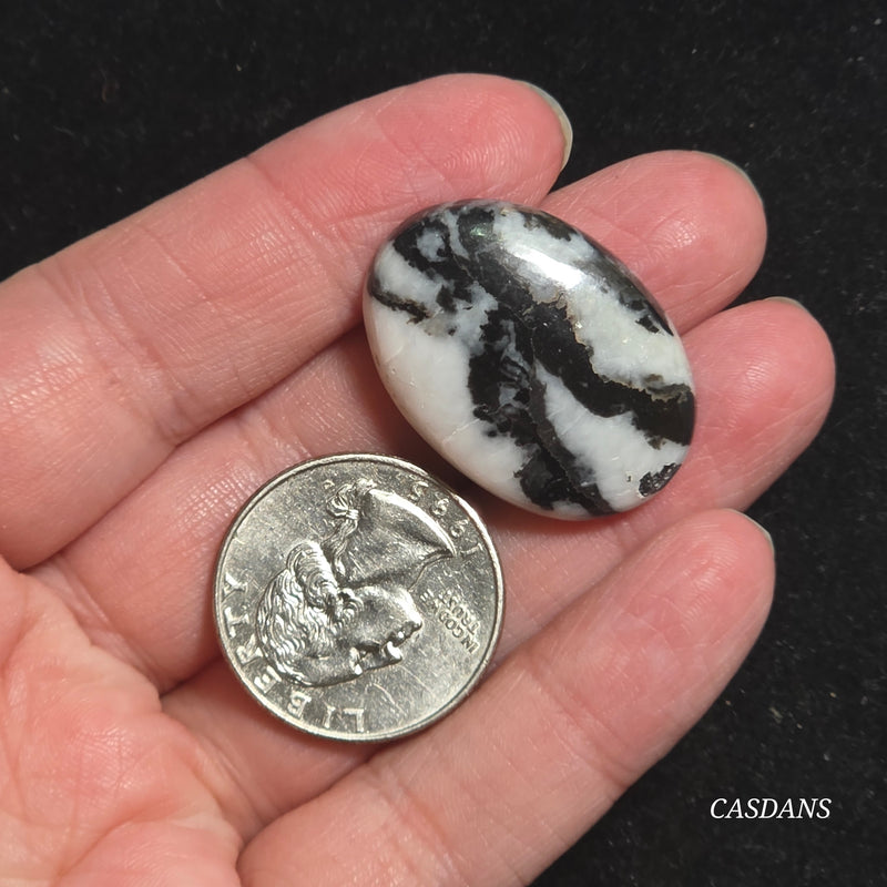 Zebra Jasper Cabochon