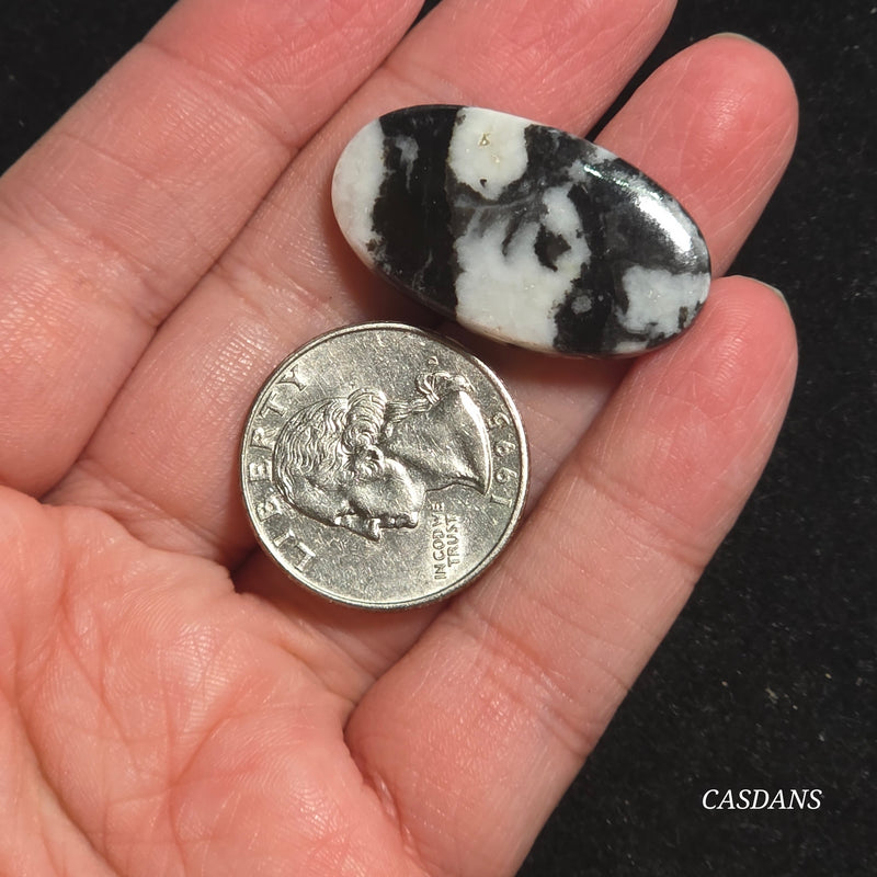 Zebra Jasper Cabochon