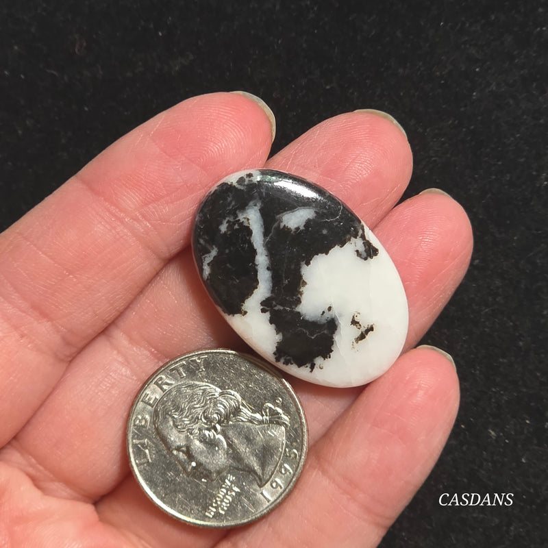 Zebra Jasper Cabochon