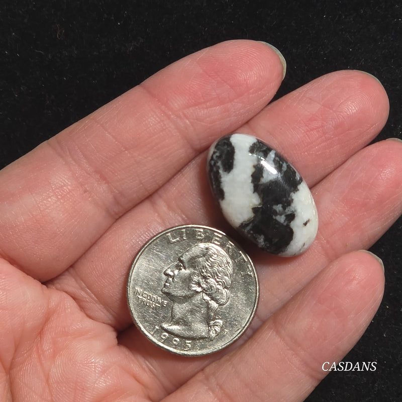 Zebra Jasper Cabochon