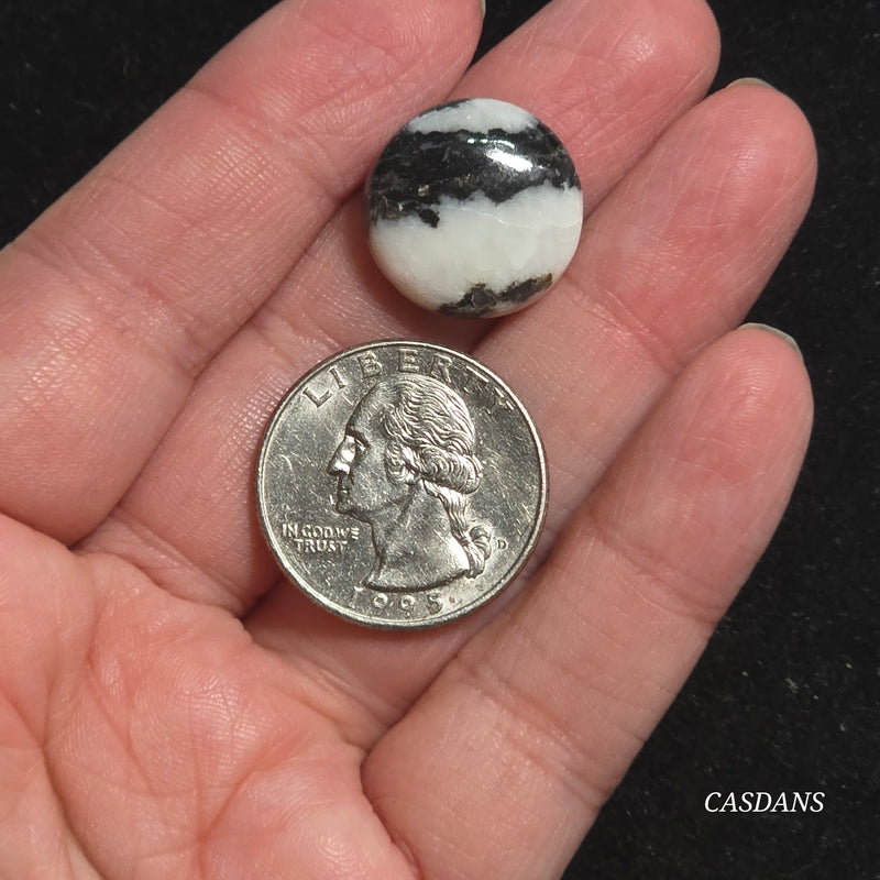 Zebra Jasper Cabochon