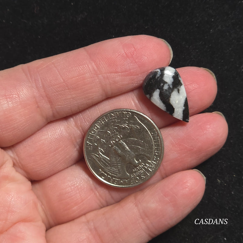 Zebra Jasper Cabochon