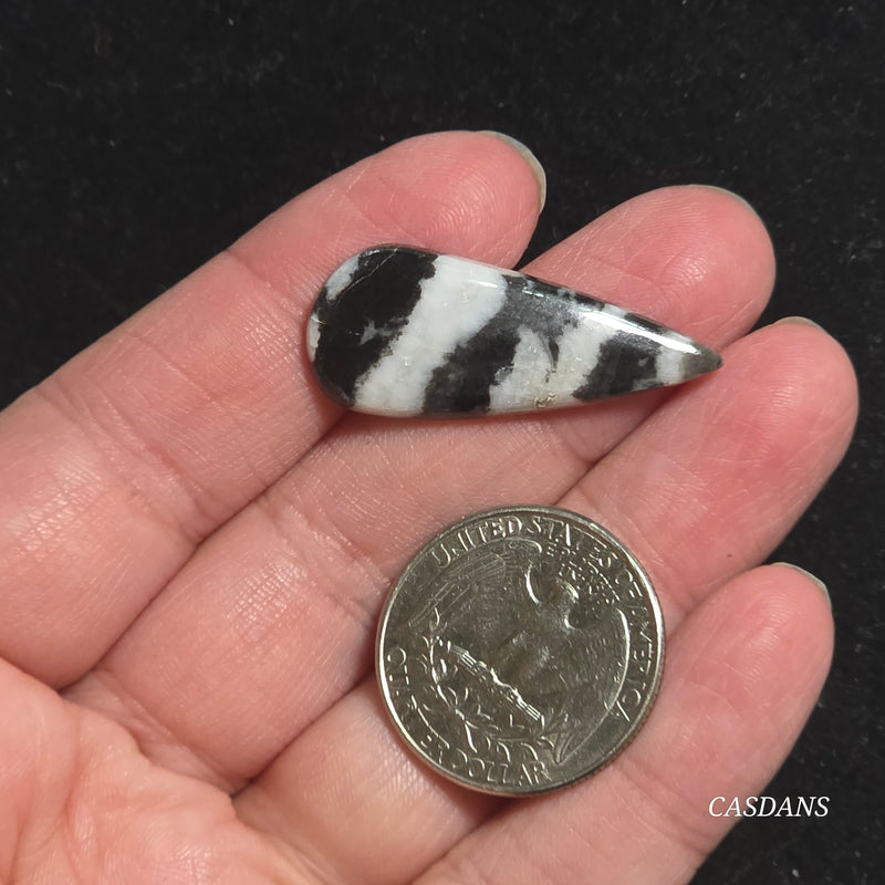 Zebra Jasper Cabochon