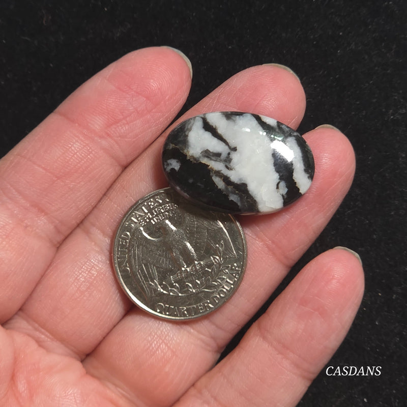 Zebra Jasper Cabochon