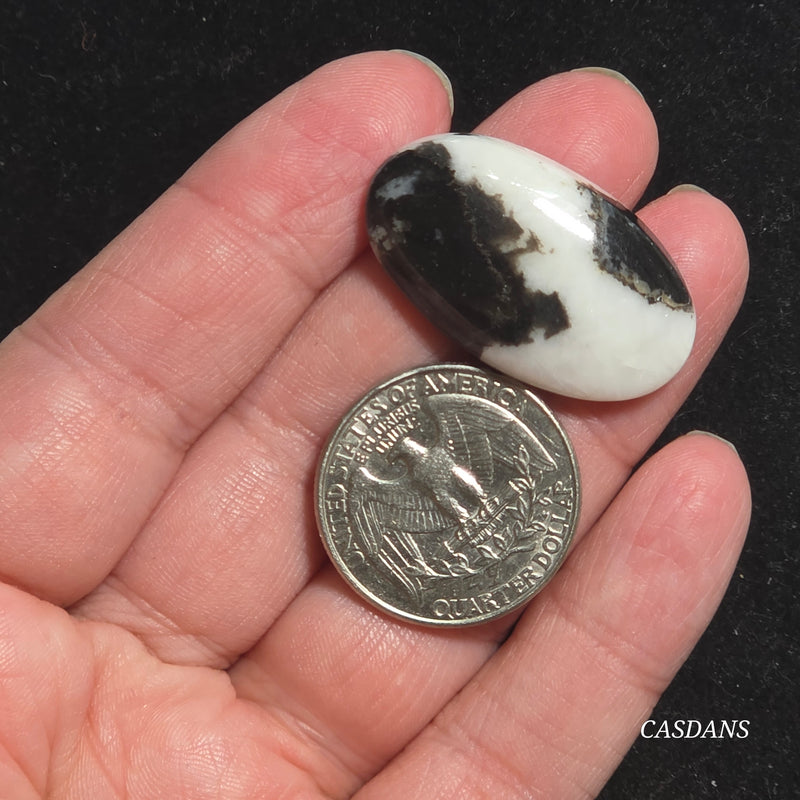 Zebra Jasper Cabochon