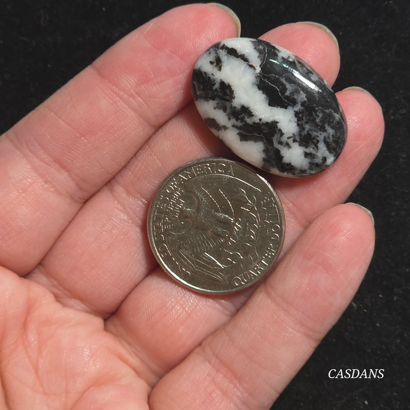 Zebra Jasper Cabochon