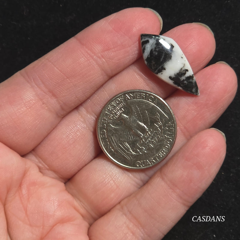 Zebra Jasper Cabochon