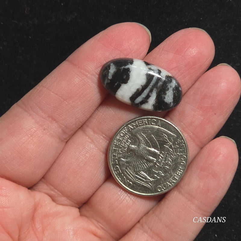 Zebra Jasper Cabochon