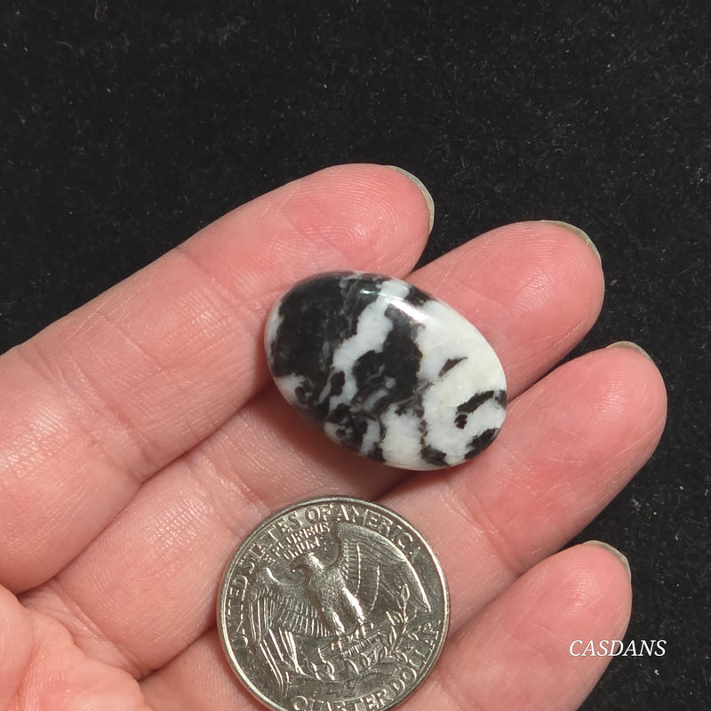 Zebra Jasper Cabochon