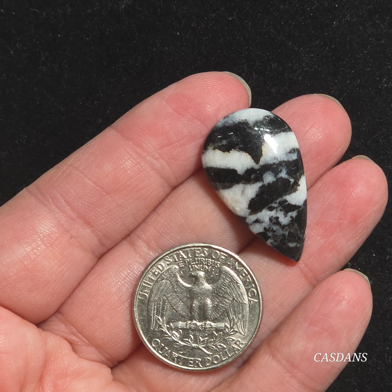 Zebra Jasper Cabochon