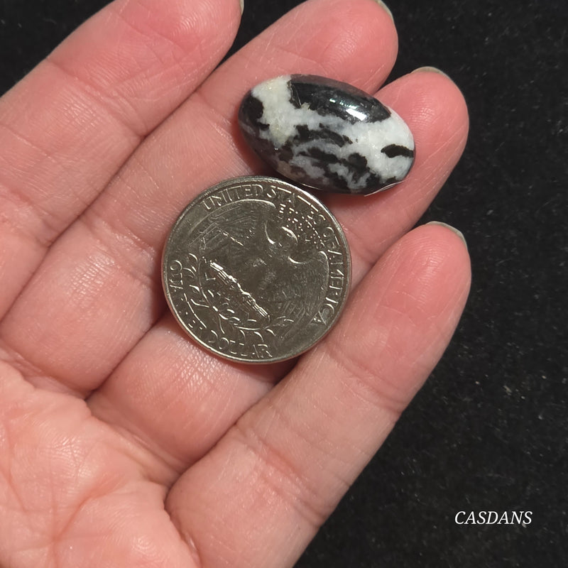 Zebra Jasper Cabochon