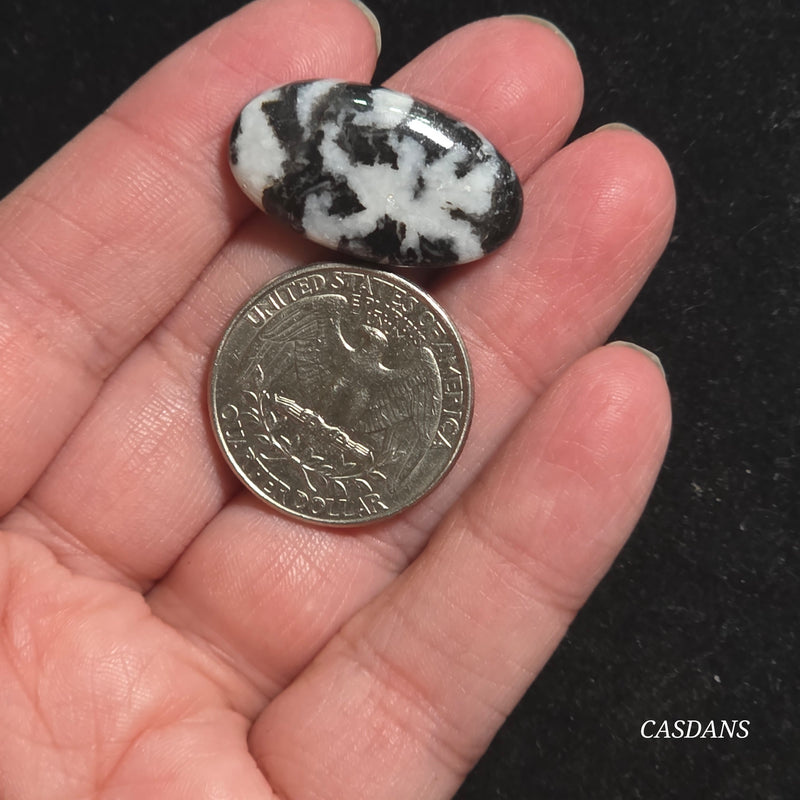 Zebra Jasper Cabochon