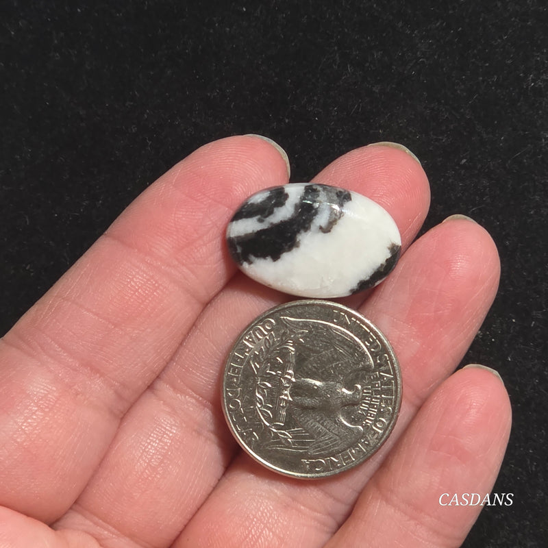 Zebra Jasper Cabochon