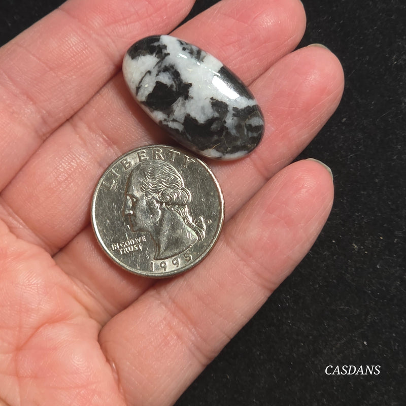 Zebra Jasper Cabochon