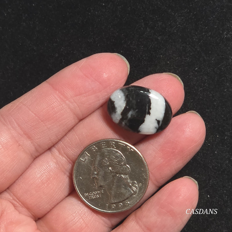 Zebra Jasper Cabochon