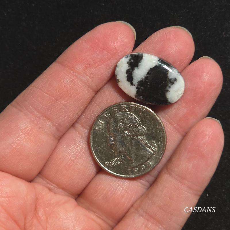 Zebra Jasper Cabochon