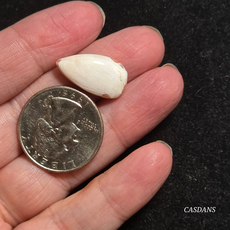 Scolecite Cabochon