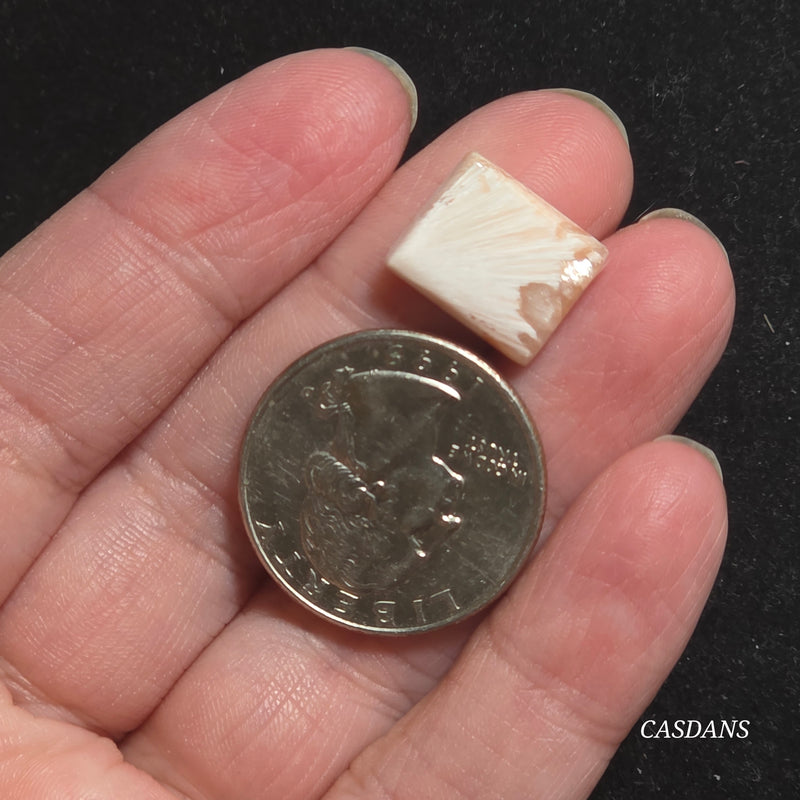 Scolecite Cabochon