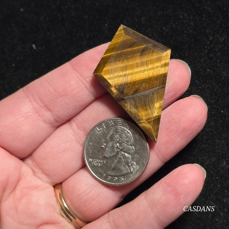 Tiger’s Eye Kite Cabochon