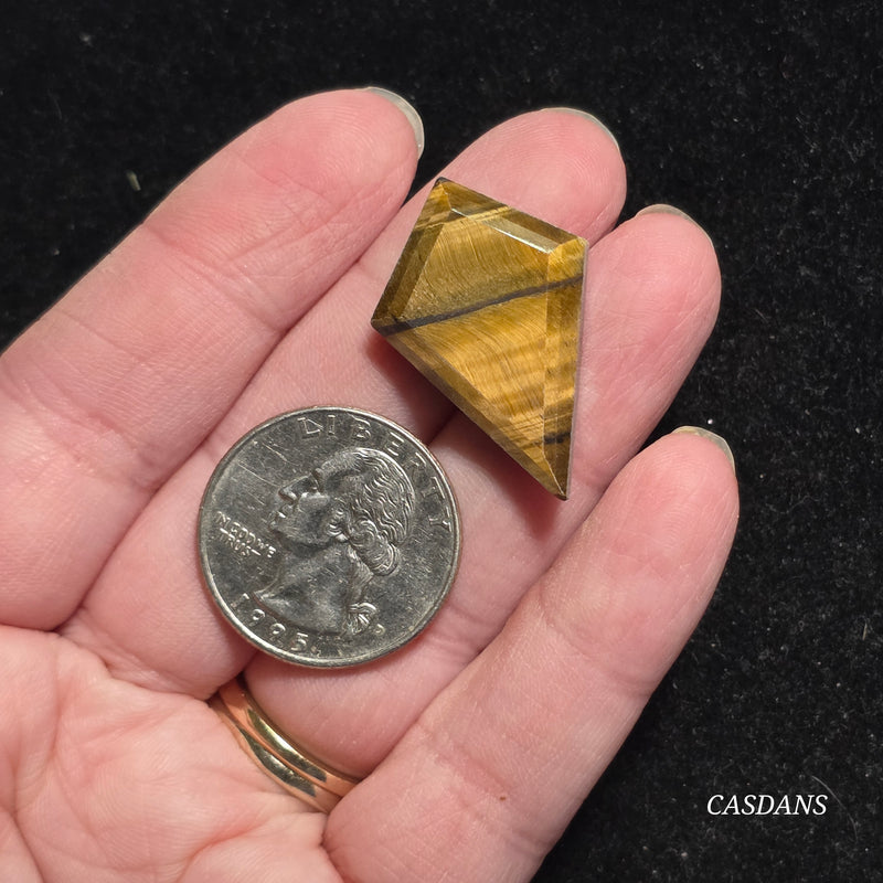 Tiger’s Eye Kite Cabochon