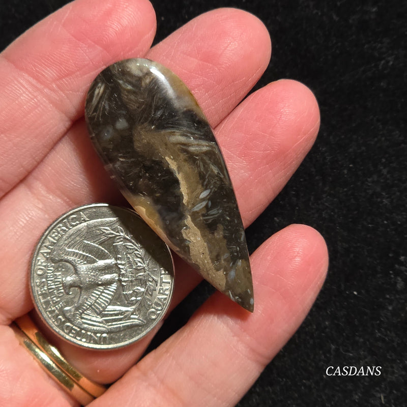 Peacock Feather Agate Cabochon