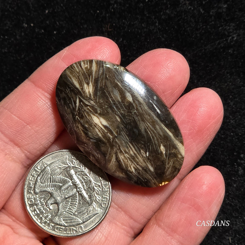Peacock Feather Agate Cabochon