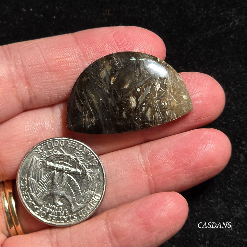 Peacock Feather Agate Cabochon
