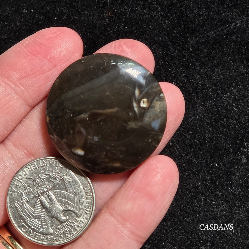 Peacock Feather Agate Cabochon