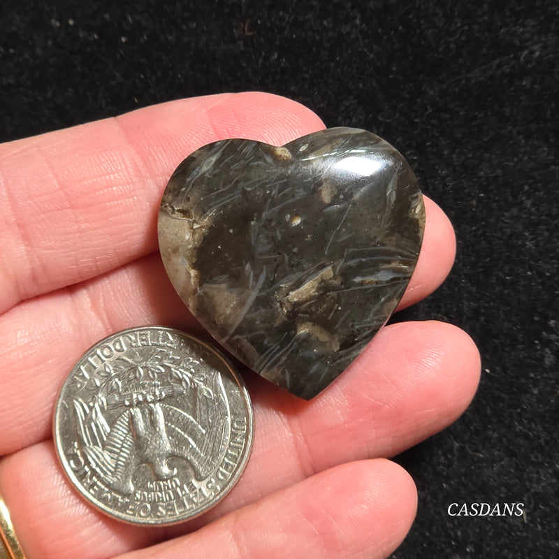 Peacock Feather Agate Cabochon