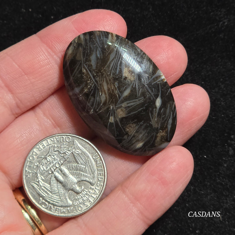 Peacock Feather Agate Cabochon