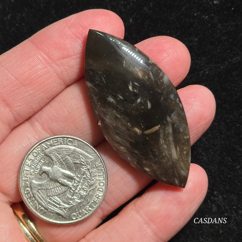 Peacock Feather Agate Cabochon