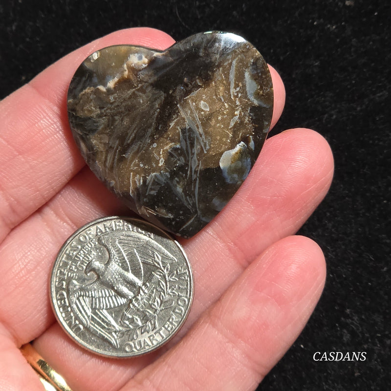 Peacock Feather Agate Cabochon