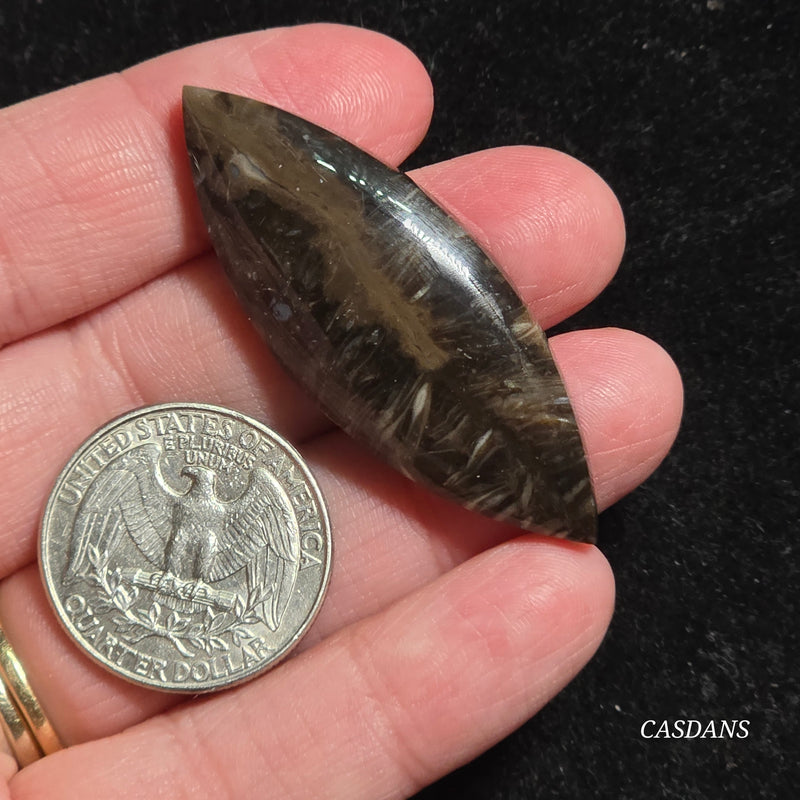 Peacock Feather Agate Cabochon