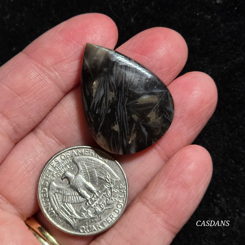 Peacock Feather Agate Cabochon