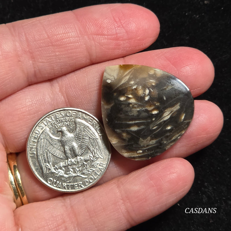 Peacock Feather Agate Cabochon