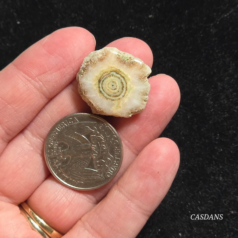 Druzy Agate Slice