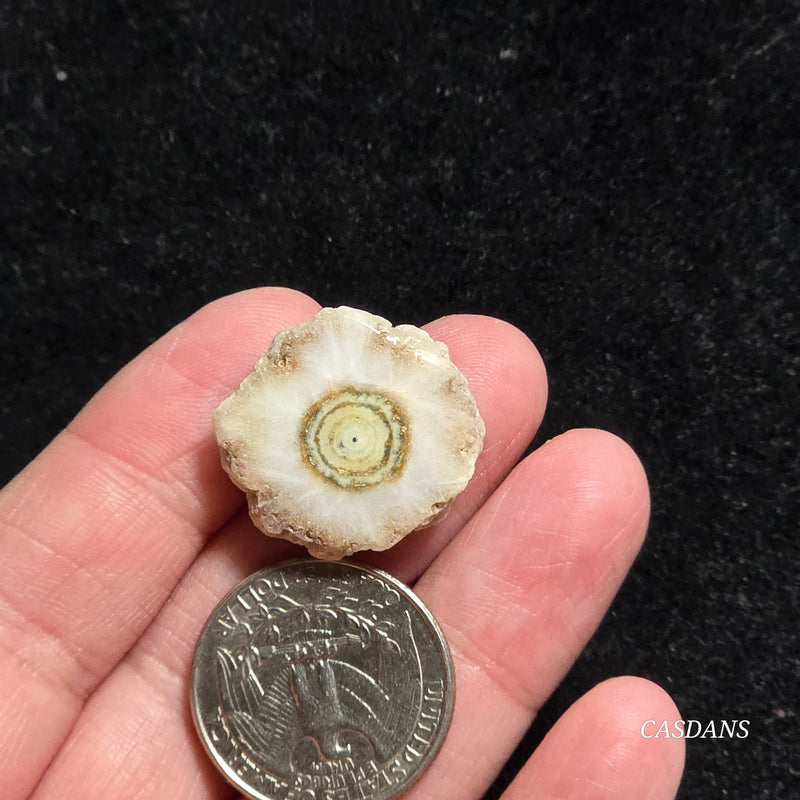 Druzy Agate Slice