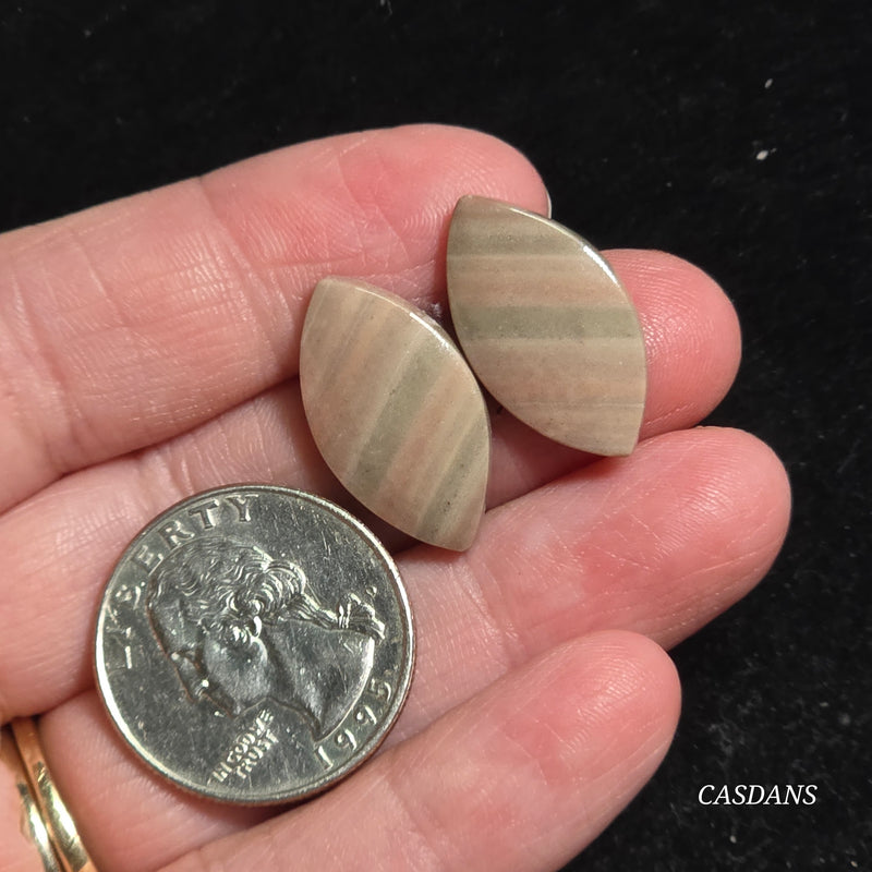 Polychrome Jasper Cabochon Pair