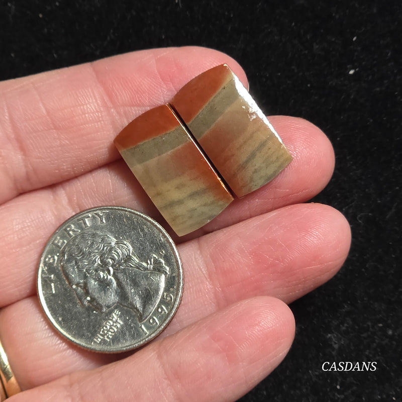 Polychrome Jasper Cabochon Pair