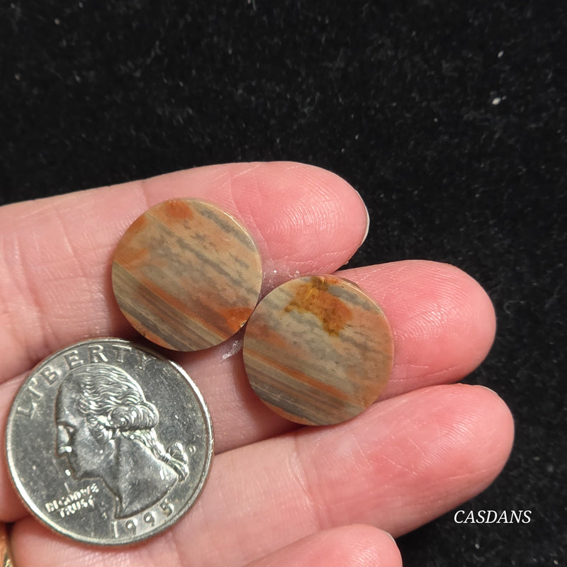 Polychrome Jasper Cabochon Pair