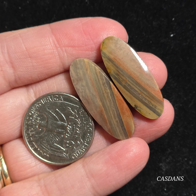 Polychrome Jasper Cabochon Pair