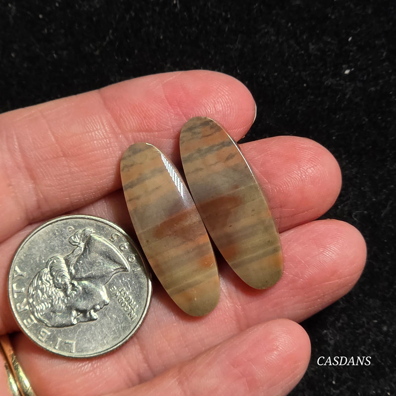 Polychrome Jasper Cabochon Pair