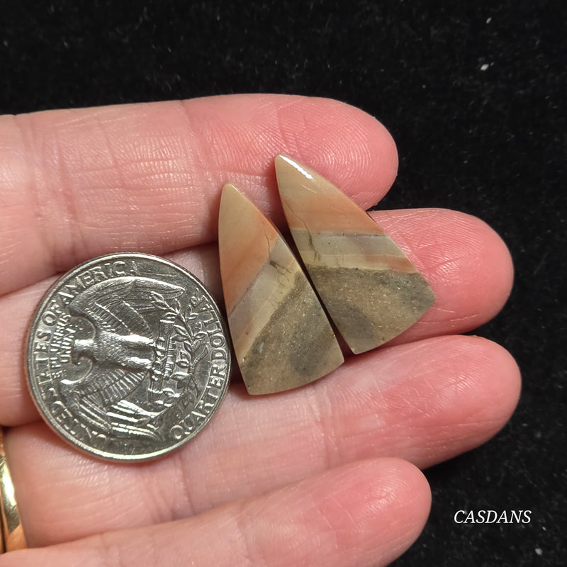 Polychrome Jasper Cabochon Pair